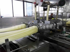 新型米粉设备 全新技术突破引领环保机械制造新纪元